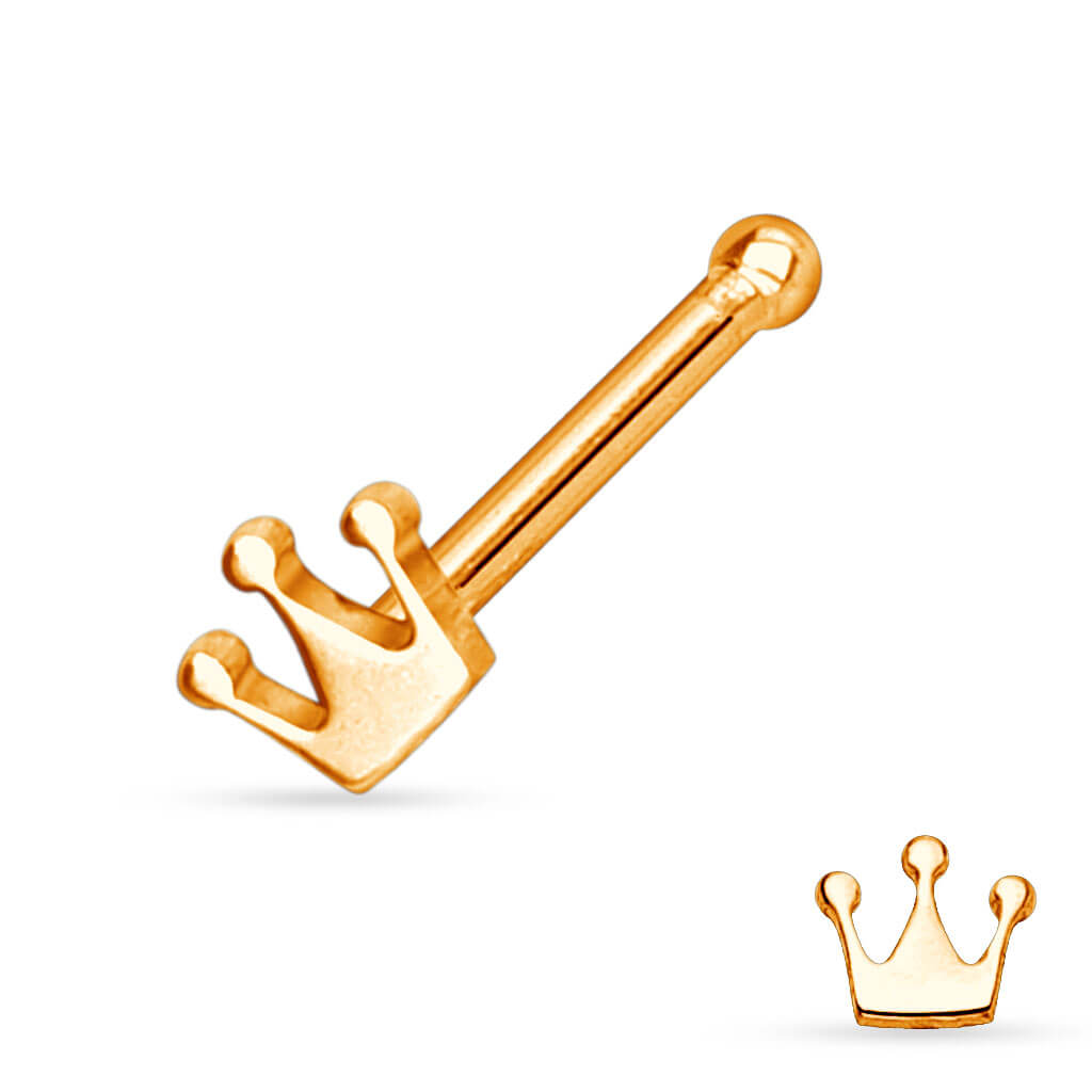 Crown Nose Stud in Surgical Steel