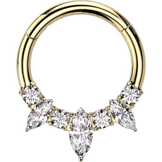 Titanium Arabelle Hinged Hoop