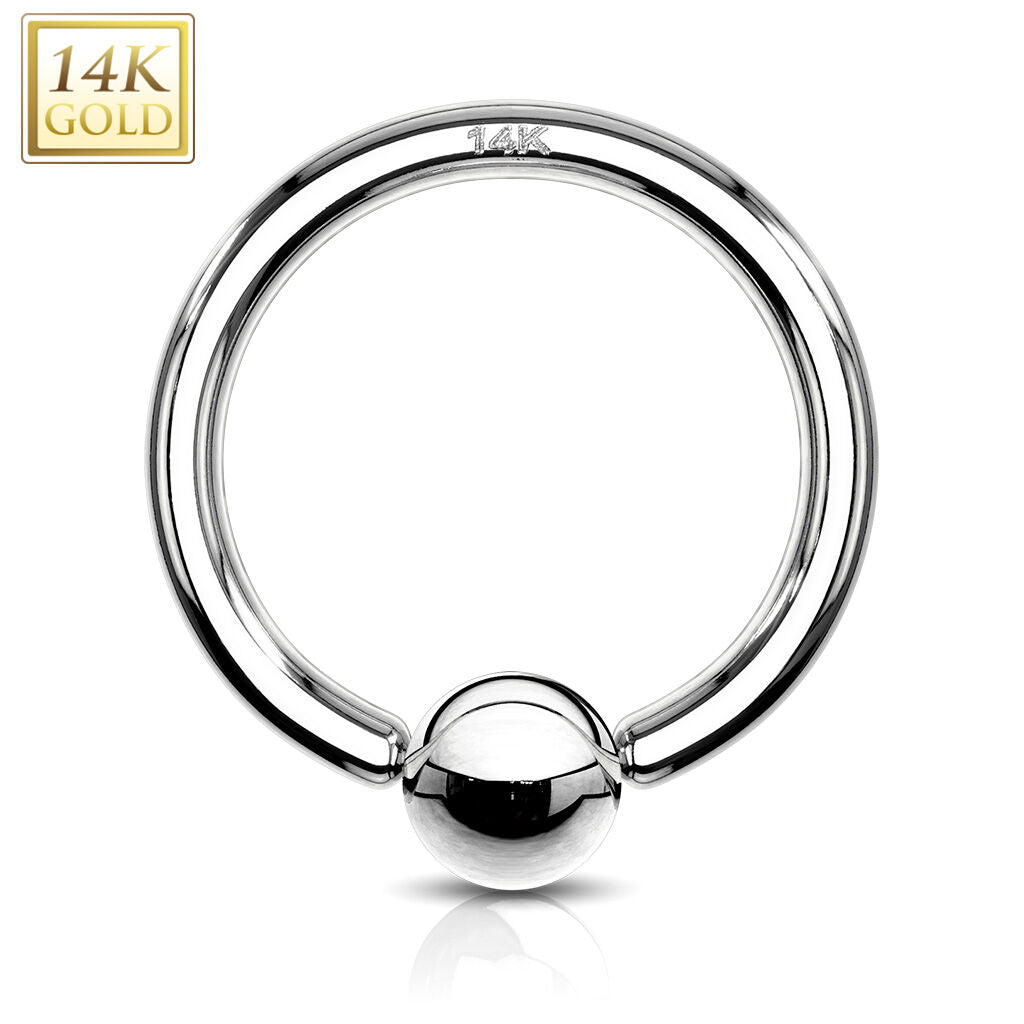 14K Gold Captive Bead Ring