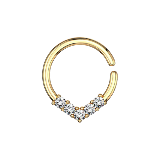 Asma Seamless Hoop