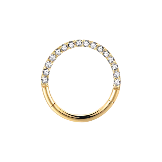 SideFacing Paved Hinged Stainless Steel Hoop