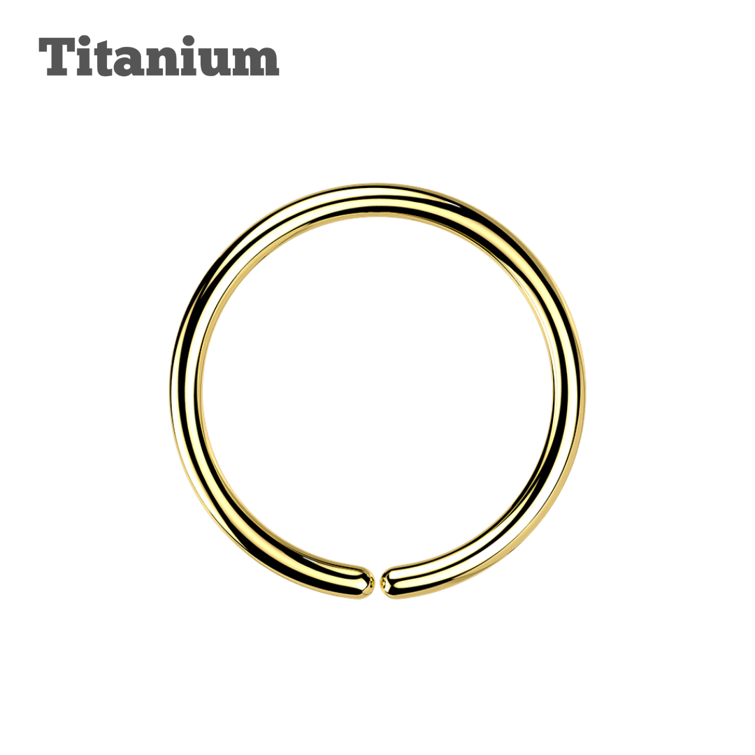 Titanium Plain Seamless Hoop