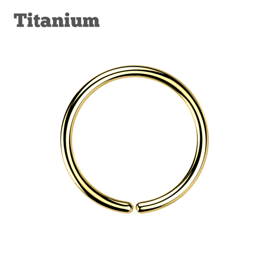 Titanium Plain Seamless Hoop